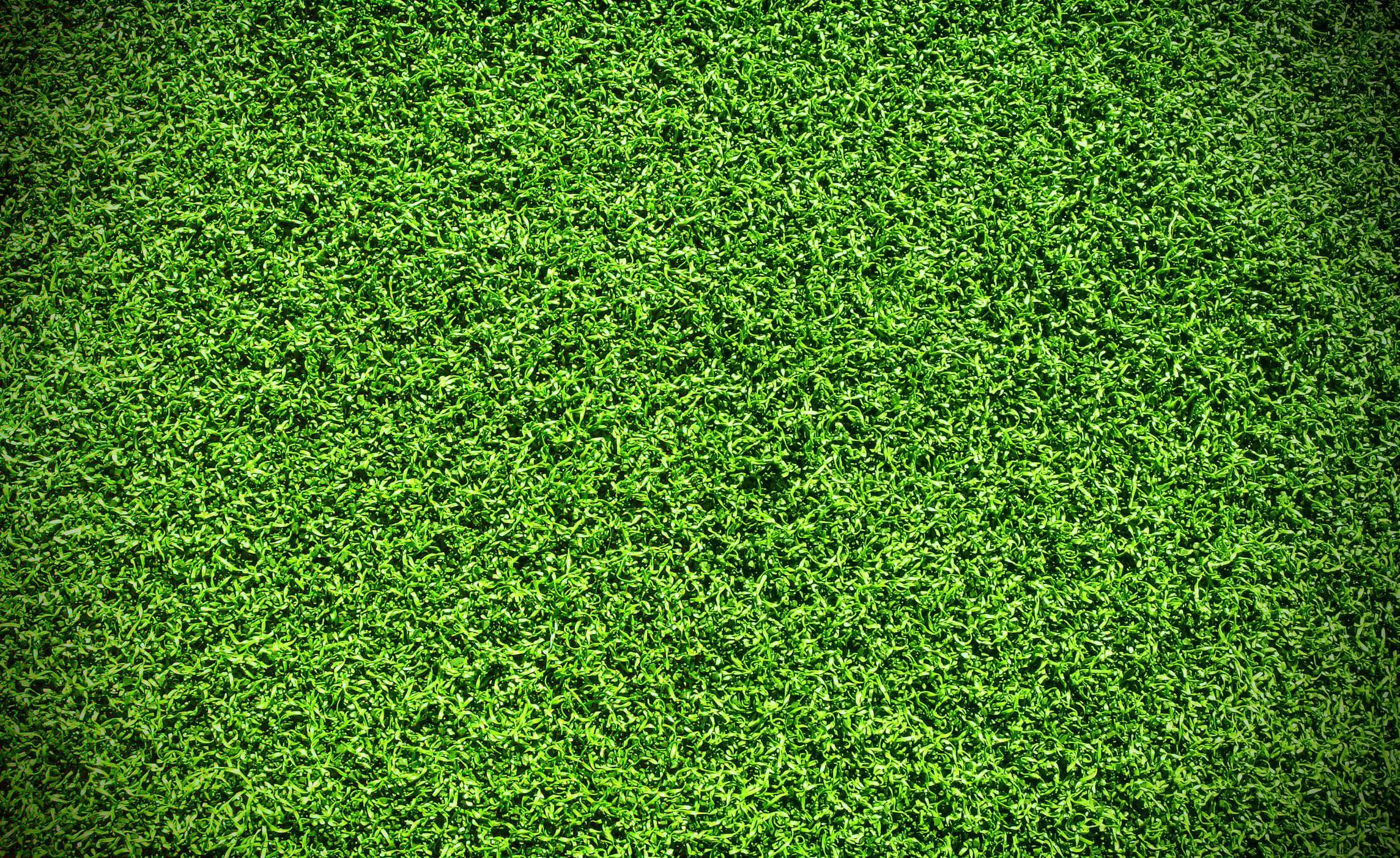 synthetic grass